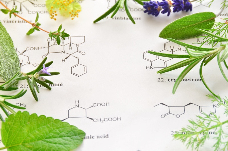 プリントの上の植物